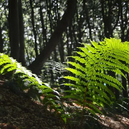 דירה House Utrinek With Free Play Room, Jacuzzy And Garage Podbrdo