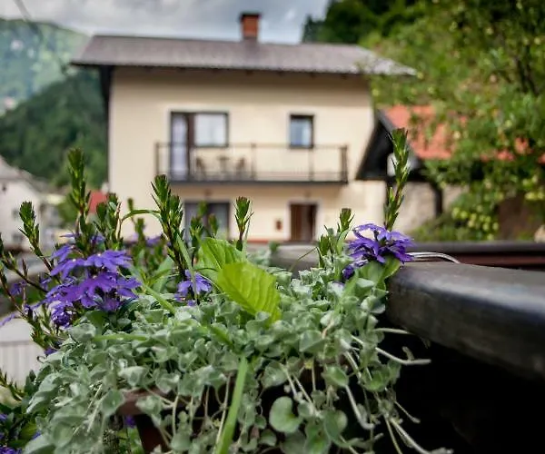 House Utrinek With Free Play Room, Jacuzzy And Garage Apartment