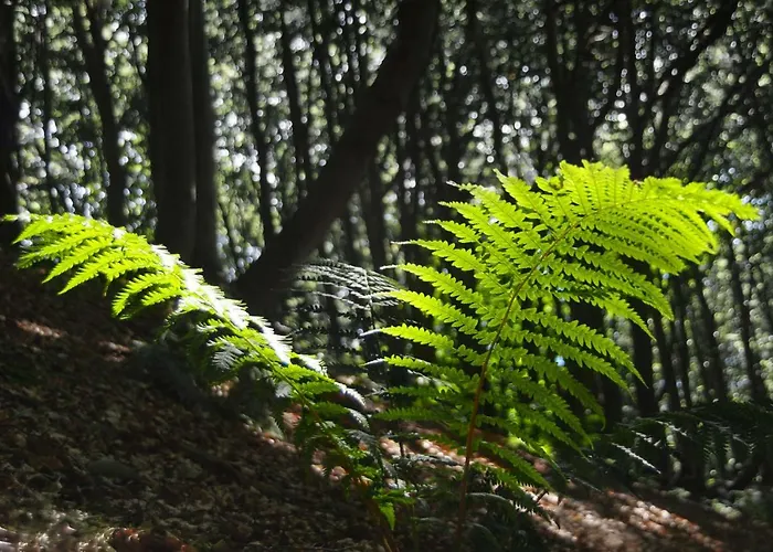 Διαμέρισμα House Utrinek With Free Play Room, Jacuzzy And Garage Podbrdo