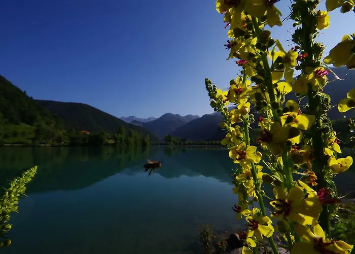 House Utrinek With Free Play Room, Jacuzzy And Garage * Podbrdo