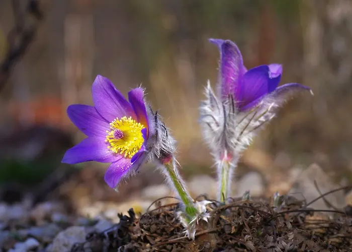 House Utrinek With Free Play Room, Jacuzzy And Garage *