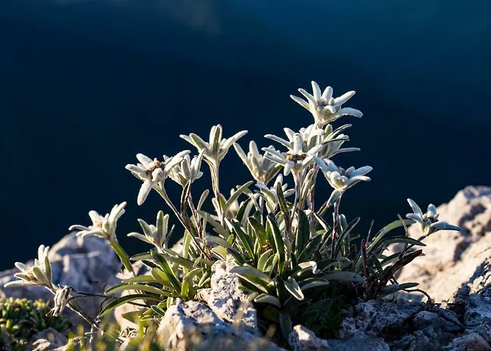 House Utrinek With Free Play Room, Jacuzzy And Garage شقة *