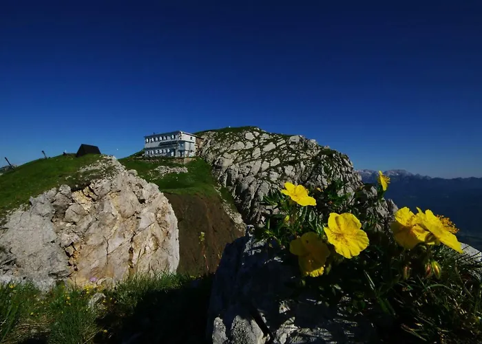 Apartment House Utrinek With Free Play Room, Jacuzzy And Garage